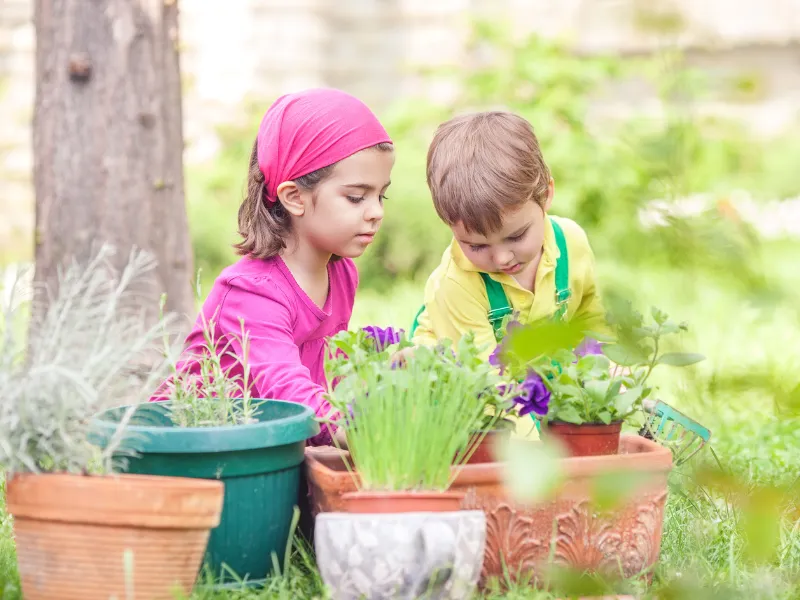 Real-World-Connections-semillas-preschool